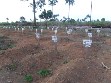 Ebola grave 2