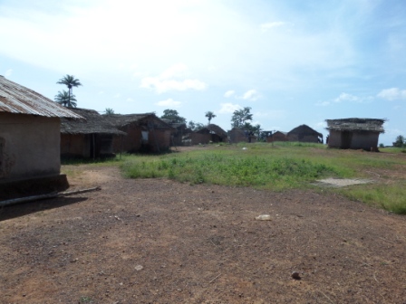 Homes that lost all of its inhabitants to ebola lay in ruin in Zango's Town 