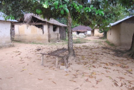 An entire quarter in Joe Blow Town wiped out by ebola