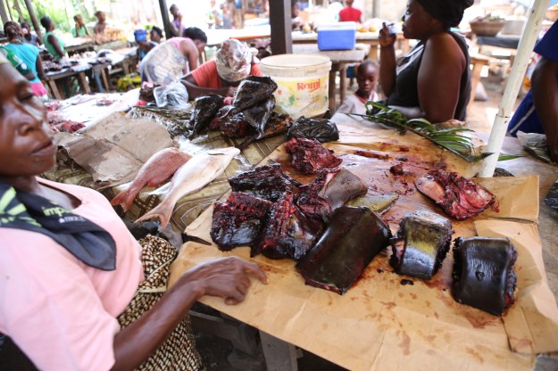 Det här är "sea monkey", googla och se...från marknaden i Buchanan